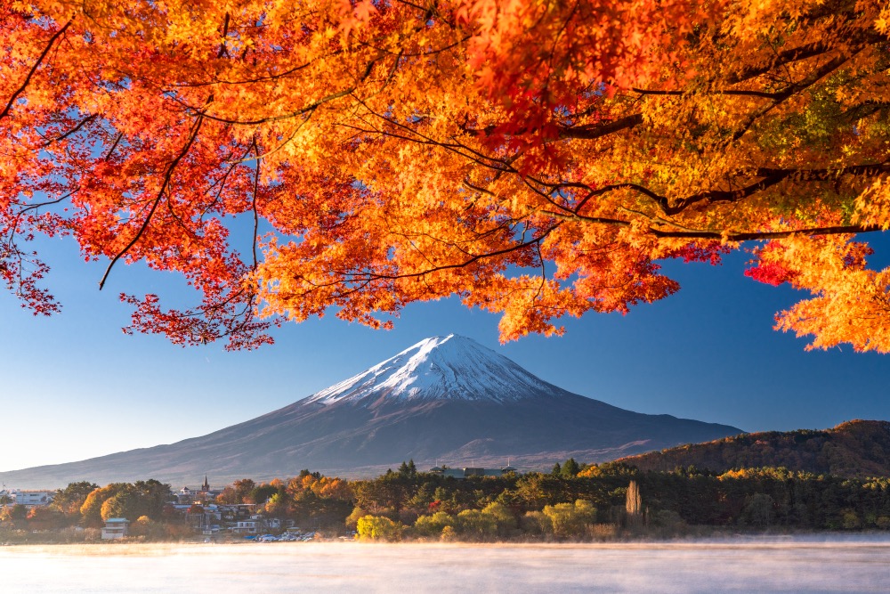 【日本紅葉】2025最新版！日本全國最佳賞楓時間、必去紅葉景點懶人包