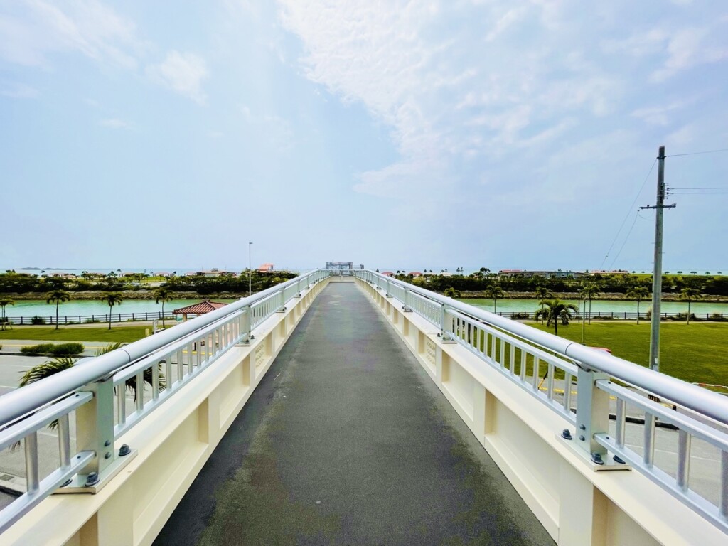 iias沖繩豐崎